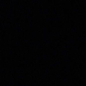 Meet your Posher, Max